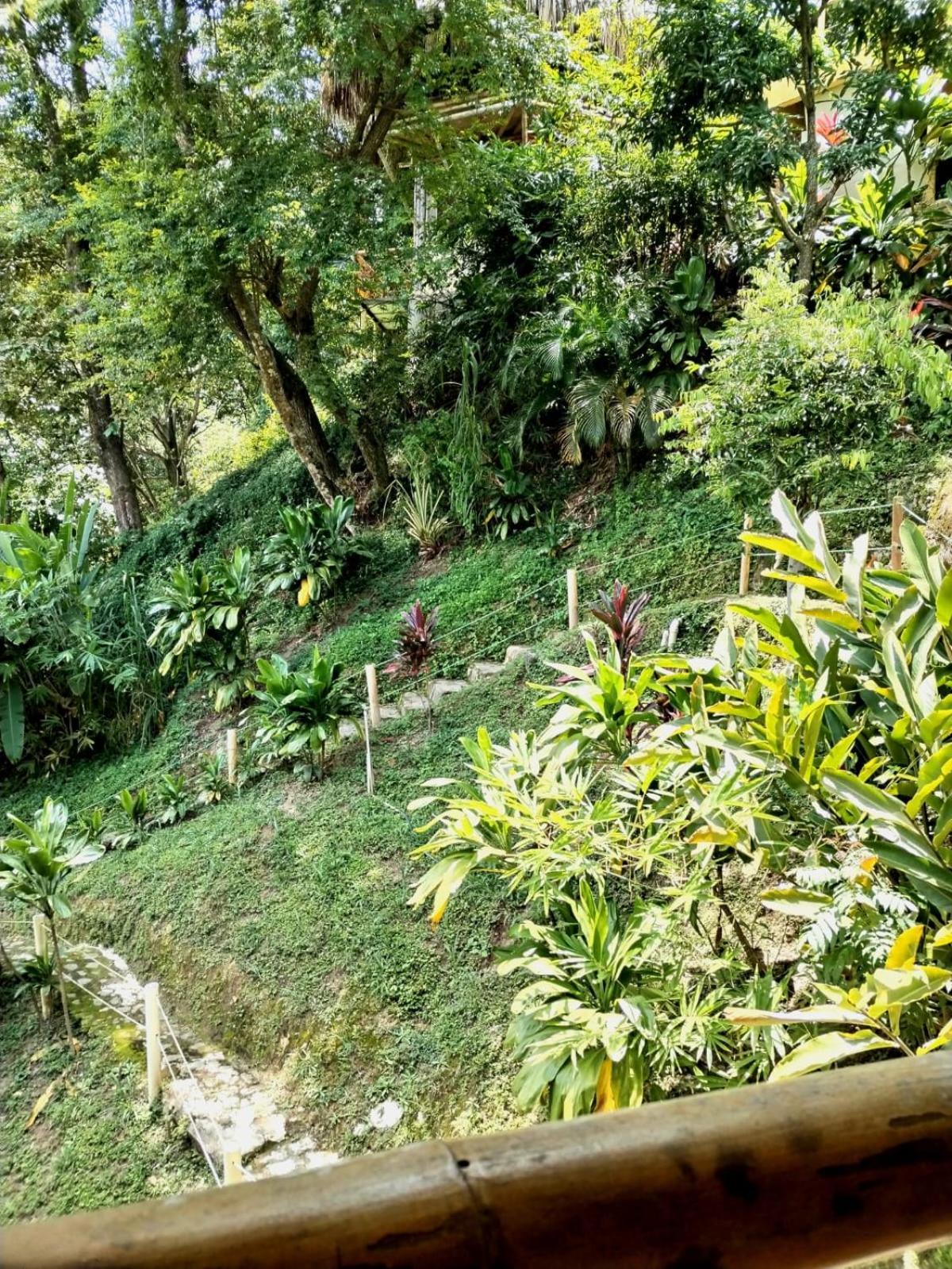 Minca Ecohabs Hotel Exterior photo